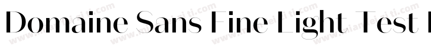 Domaine Sans Fine Light Test Regula字体转换